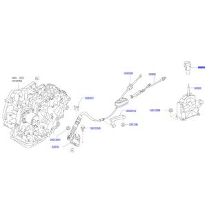 راس عصاية التعشيق