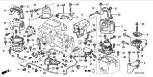 مثبت حساس الاكسجين الخلفي