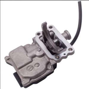 منظم الدفرنس الأمامي