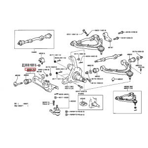 مقص أمامي سفلي يمين