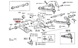 مقص أمامي سفلي يمين