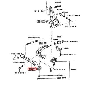 مقص أمامي سفلي يمين