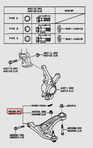 مقص أمامي سفلي يمين رقم 1
