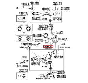 مقص أمامي سفلي يمين