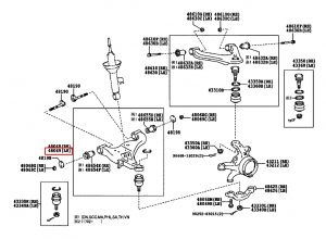 مقص أمامي سفلي يسار