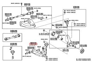مقص أمامي سفلي يسار