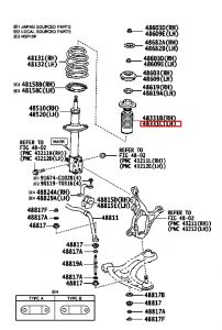 جلدة سست أمامية