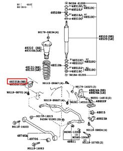 جلدة سست أمامية