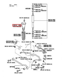 جلدة سستة أمامية يمين