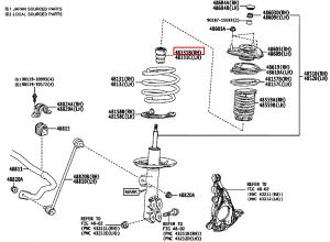 جلدة سست أمامية