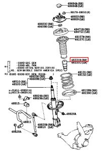 جلدة سست أمامية