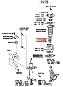 جلدة سست أمامية