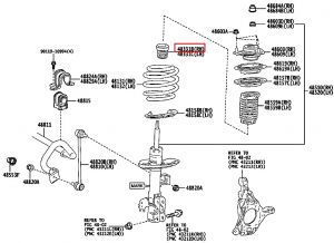 جلدة سست أمامية