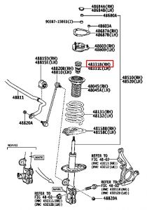جلدة سست أمامية