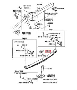 جلدة سست خلفية