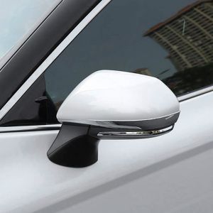 مساعد أمامي يسار