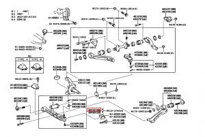 مقص أمامي سفلي يمين رقم 1