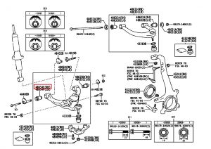 جلدة مقص سفلي يمين رقم 1