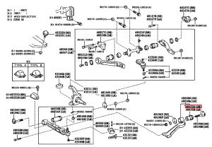 جلدة مقص سفلي يمين رقم 2