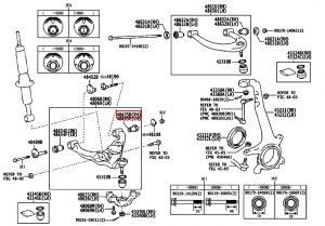 جلدة مقص سفلي يمين رقم 2