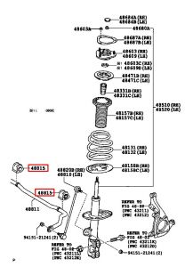جلدة عامود التوازن