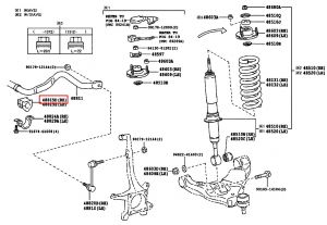جلدة عامود التوازن