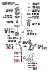 جلدة مسمار التوازن الأمامي