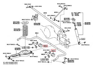 جلدة عامود توازن خلفي