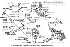 جلدة عامود التوازن