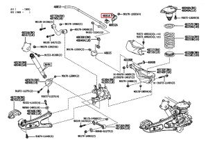 جلدة عامود التوازن