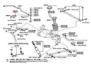 جلدة عامود توازن خلفي
