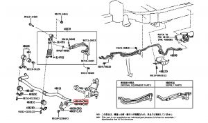 جلدة عامود التوازن