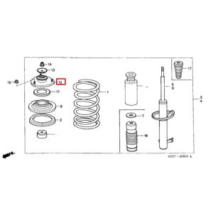 جلدة مساعد أمامية