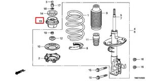 جلدة مساعد أمامية