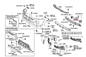 جلدة ركن صدام