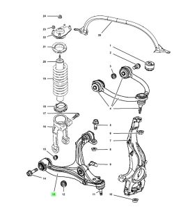 مقص أمامي سفلي يسار