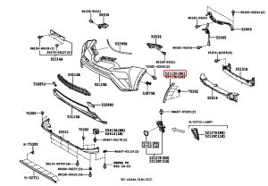 جلدة ركن صدام