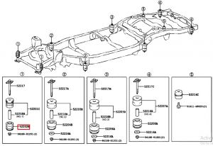 جلدة شاصيه سفلية