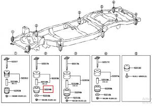 جلدة شاصيه سفلية