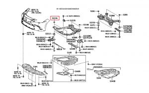 جلدة حامل سفلي أمامية