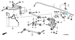 جلدة عامود توازن