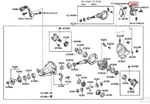 كرسي كرونة خلفية