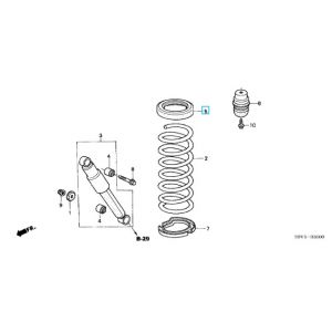 جلدة سست خلفية