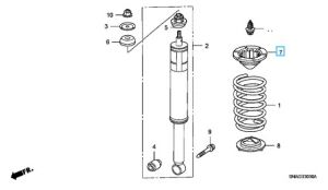 جلدة سست خلفية