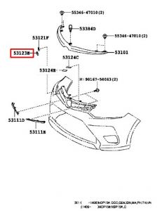 جلدة شبك سفلية
