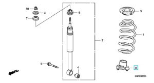 جلدة سست خلفية