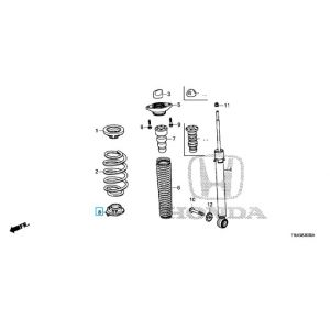 جلدة سست خلفية