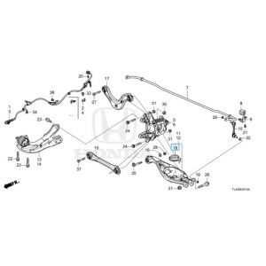 جلدة سست خلفية