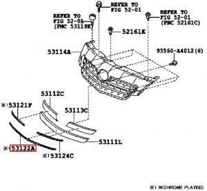 جلدة شبك سفلية