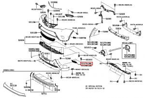 جلدة شبك سفلية